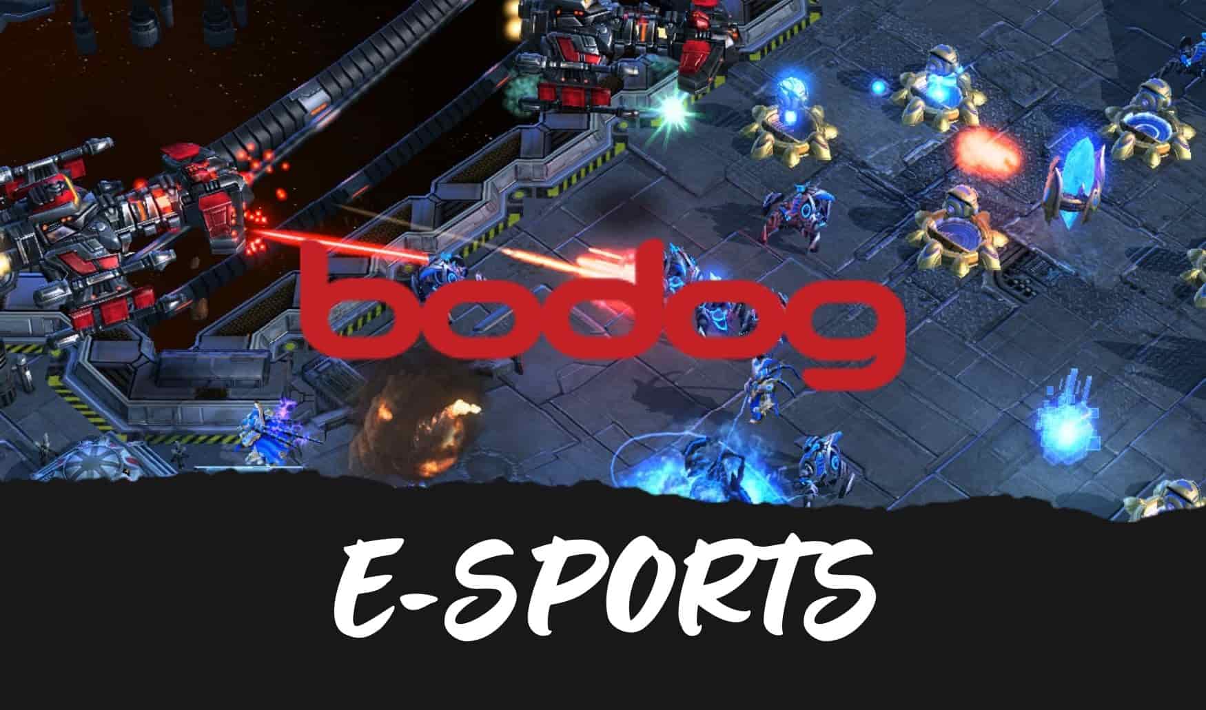 e-sports também é popular entre os jogadores de plataformas de apostas Bodog Brasil
