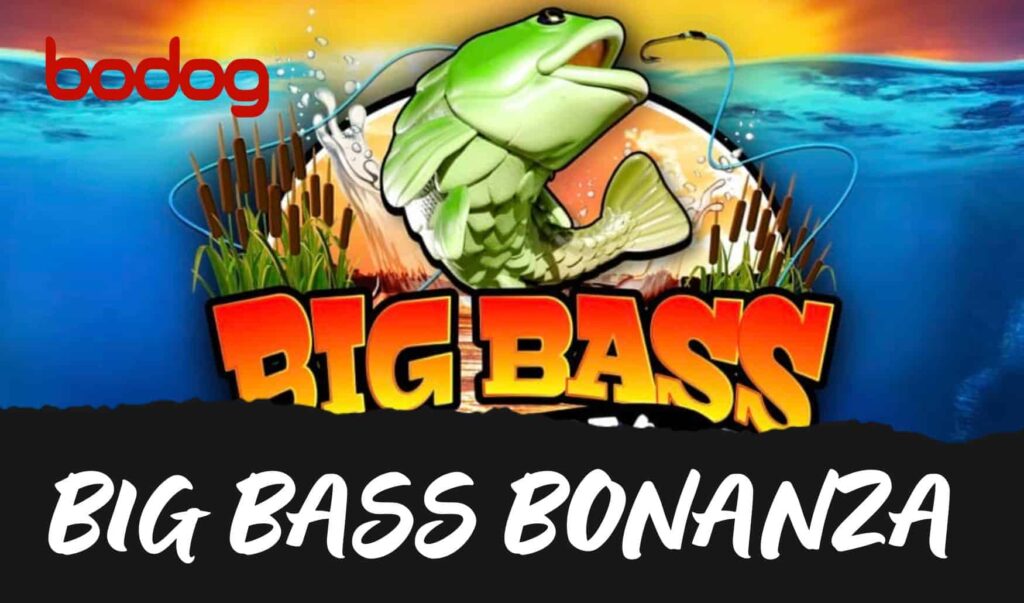 Bodog Brasil Big Bass Bonanza Megaways